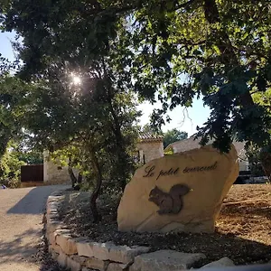 Le Petit écureuil Saint-Saturnin-lès-Apt
